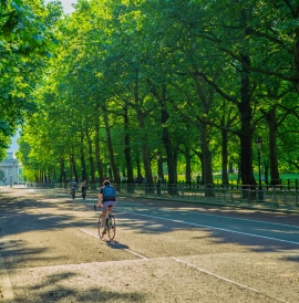 A person cycling in Hyde Park, London 