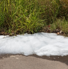 Foam flowing down the side of a street next to a patch of grass