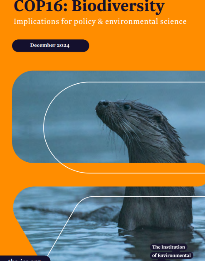 Cover of COP16 Biodiversity briefing