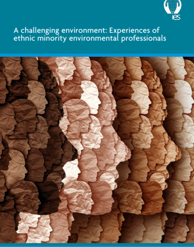 Cover of challenging environment report