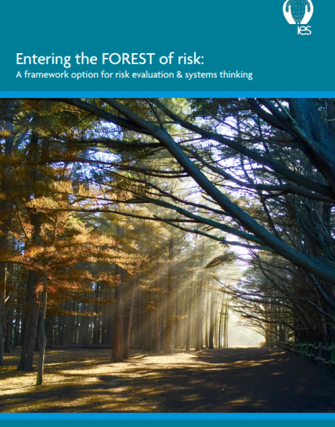 Cover of Entering the forest of risk report