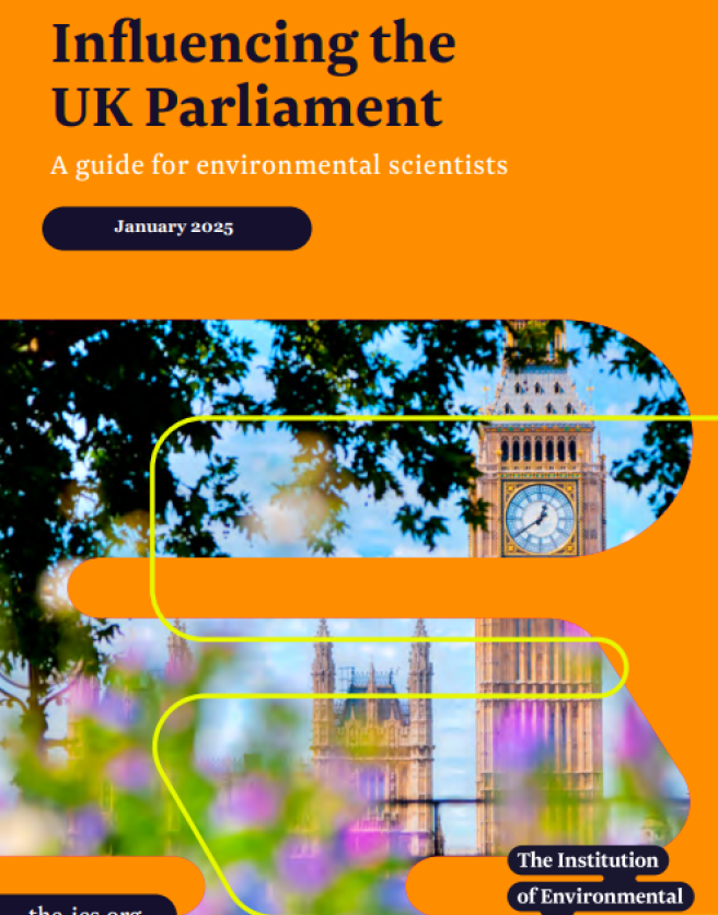 Cover of Influencing the UK Parliament briefing