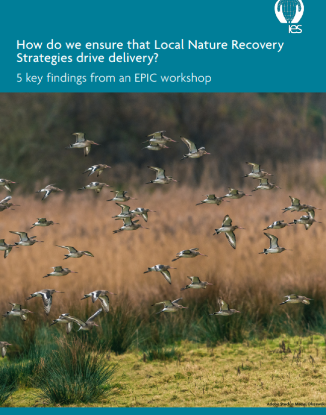 Cover of EPIC LNRS report