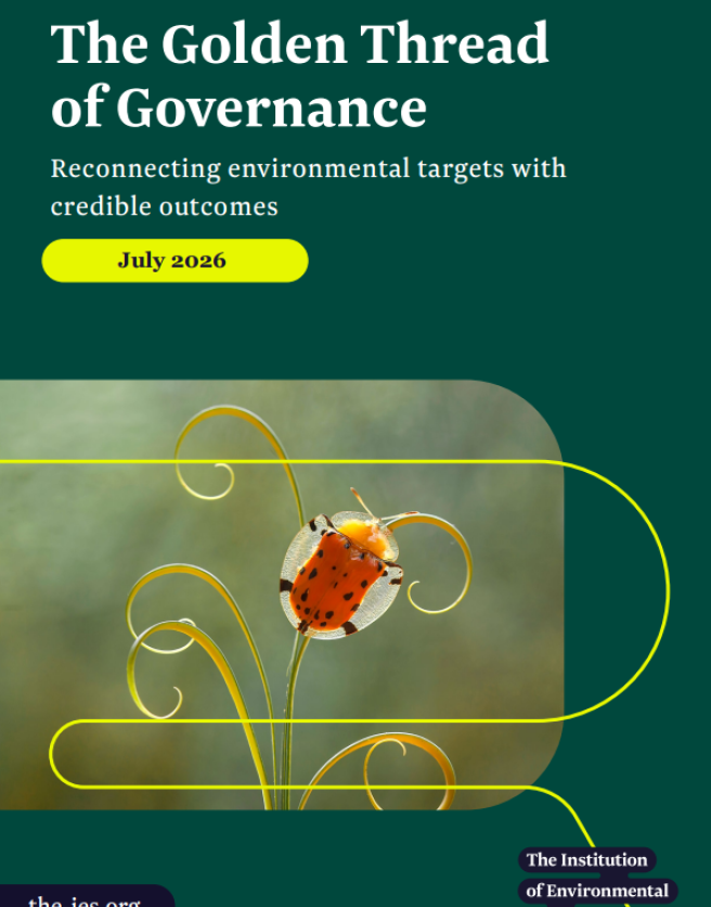 Cover of Golden Thread Report