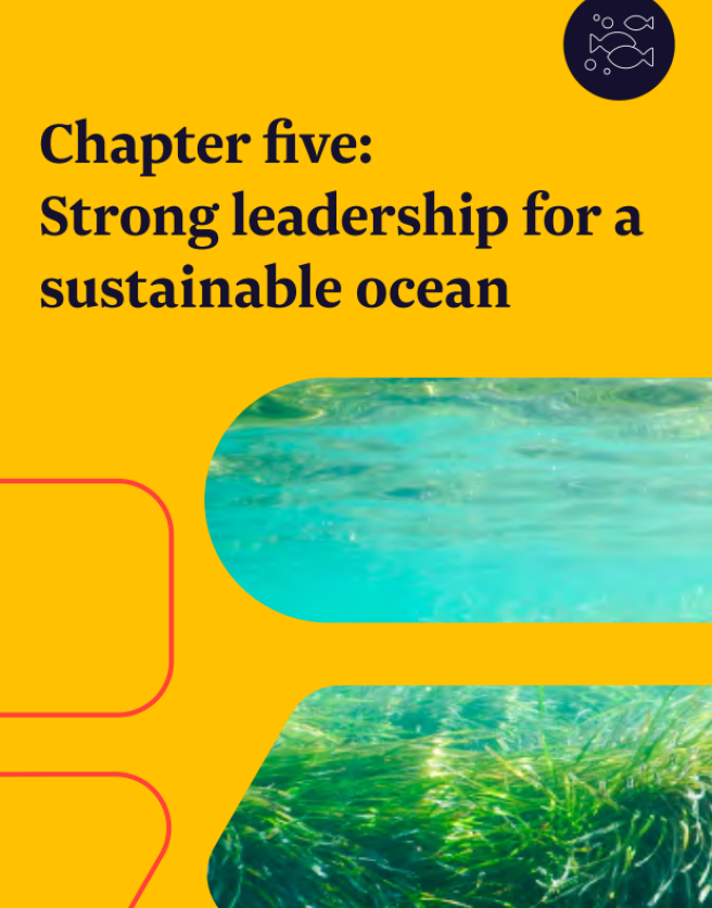 Cover of oceans chapter of our shared mission