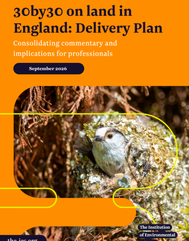 Cover of 30by30 briefing