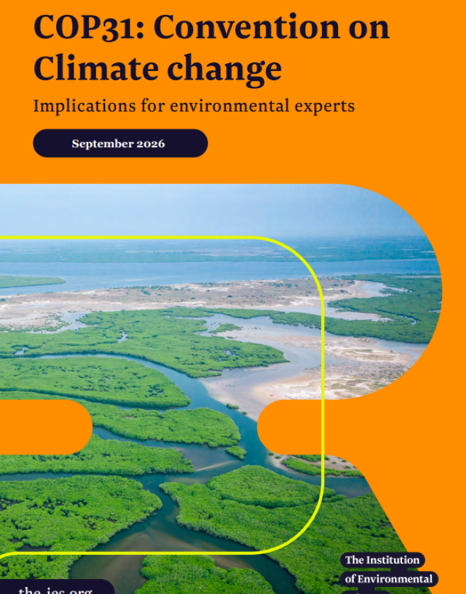 Briefing on COP31 Climate Change
