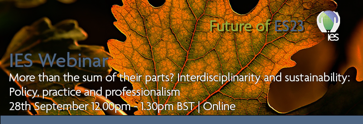 Photo of close-up of autumnal leaf showing its vascular system, overlaid with text: More than the sum of their parts? Interdisciplinarity and sustainability: Policy, practice and professionalism