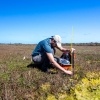 Ecologist setting up a water level logger in a wetland
