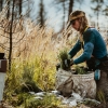 Sustainable reforestation and tree planting