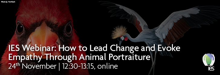 Photo of birds with words IES Webinar - How to Lead Change and Evoke Empathy Through Animal Portraiture November 24th Online 12:30