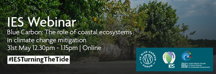 Coastal mangrove forest with overlaid text reading 'IES Webinar. Blue Carbon: The role of coastal ecosystems in climate change mitigation. 31st May, 12:30pm - 1:15pm. Online. #IESTurningTheTide.' Logos are included for the UK Blue Carbon Forum, the IES and the UN Ocean Decade.