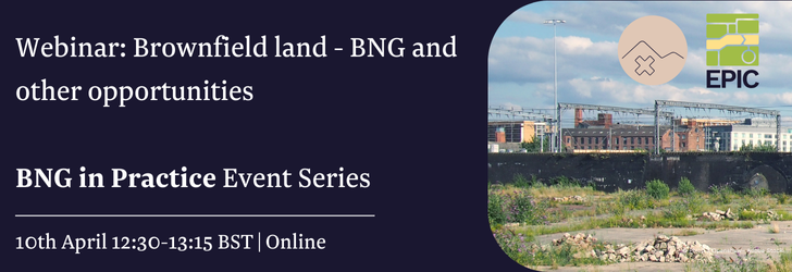 Photo of urban brownfield site with text Webinar: Brownfield land - BNG and other opportunities, BNG in practice event series, 10th April, 12:30 - 13:15 BST online
