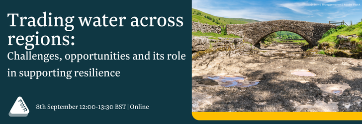 Stone bridge over dried out riverbed, Trading water across regions – challenges, opportunities and its role in supporting resilience, 8th September, 12:00 - 13:30 BST online