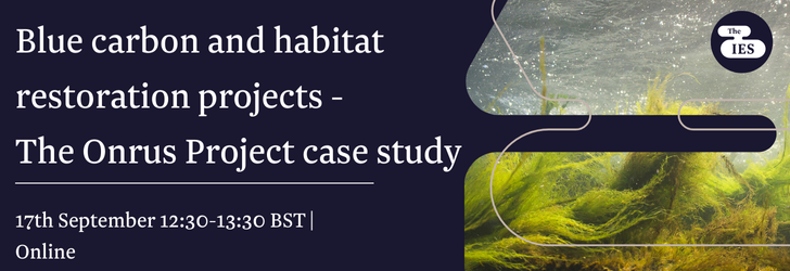 Algae and weeds in a river, with text Blue carbon and habitat restoration projects - The Onrus Project case study, 17th September 12:30 - 13:30 BST, Online