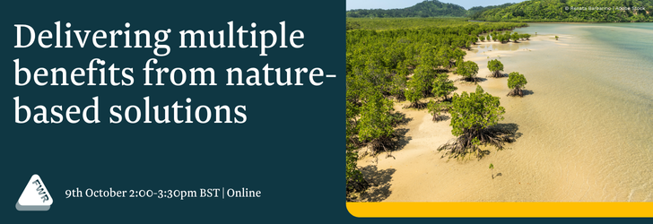 Aerial view of mangrove forest on the side of a river. Delivering multiple benefits from nature-based solutions, 9th October, 2 - 3:30pm BST online