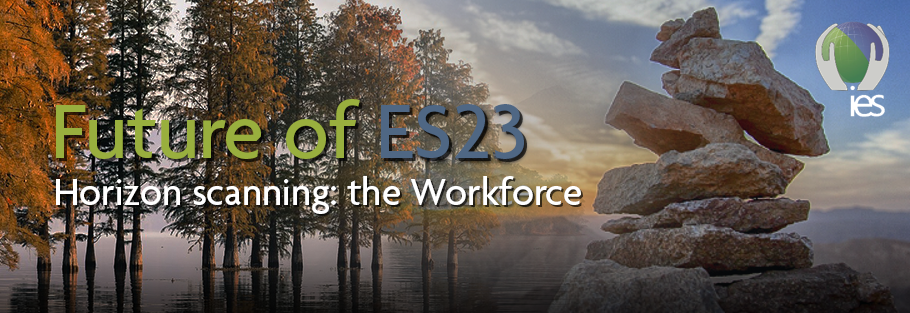 Photo of autumnal forest merging into photo of stacked stones against horizon overlaid with text Future of ES23 - Horizon scanning: The workforce